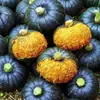 Abóbora Beibei Autêntica com Sabor de Castanha Fresca, Abóbora Pequena de Shandong, Caixa Inteira de Abóboras Maduras, Macia e Pegajosa, Adequada para Bebês e Mulheres Grávidas, Frete Grátis