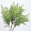 Venta al por mayor de plantas verdes ornamentales para paredes, incluyendo helechos, clemátides, helechos silvestres de montaña, bambú negro, tuya, helechos de espárrago y helechos extranjeros