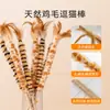 Plumero, Cuerda de Sisal, Palo Juguete para Gatos, Cascabel, Juguete para Gatos que Hace Ruido, Juguete Interactivo para Mascotas para Gasto de Energía, Suministros para Mascotas