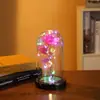 Presentes Criativos de Dia dos Namorados Transfronteiriços, Enfeites Luminária Noturna com Tampa de Vidro de Rosa, Iluminação para Cenário, Acessórios Atacado