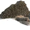 Galhos de Bambu Naturais para Vassouras de Higiene, Matérias-Primas para Vassouras de Bambu, Grandes Quantidades de Matérias-Primas para Vassouras de Bambu Disponíveis, Atacado de Fabricantes