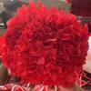 Hortensia de Hoja Grande Flor Preservada Individual Adornos Decoración Hogar Empaquetado Suave Hortensia Anna Ramo de Flores Secas Multicolor Venta al por Mayor