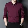 Camisa para Hombre de Alta Calidad, Ligeramente Gruesa, Sin Costuras, Estilo Business Casual, No se Arruga, de una Sola Cara, Casual, Versátil, Manga Larga, Ropa para Hombre