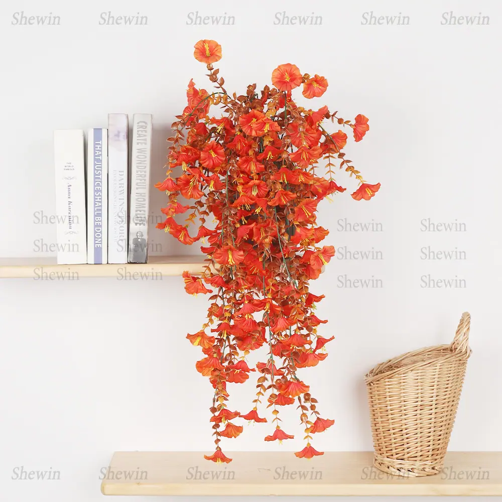 DS2094-1主图5.jpg