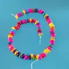 Accesorios para Joyería Concha de Agua Dulce Natural Teñida Asimétrica Cuentas Sueltas Pulidas Agujero Recto Piedra Natural 8 Cuentas