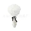 Vestido de Fiesta Disfraz Cosplay Peluca de Abogado de Washington Pluma de Ave Puño de Encaje Cubierta de Zapato para Puño Hebilla de Zapato Juego de