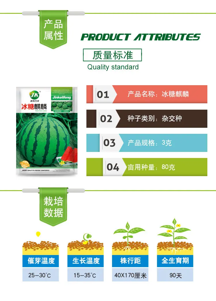 冰糖麒麟-1