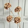 Hortênsia sonho de 4 cabeças flor de simulação de casamento layout de cena de casamento parede de flores bola de flores arranjo de flores hortênsia de simulação flor falsa