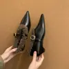 Nueva colección de otoño e invierno estilo coreano: Zapatos pequeños de cuero para mujer, con forro de felpa, sin cordones, punta fina, tacón grueso y diseño Mary Jane de una sola tira.