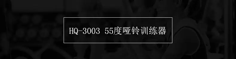 3003