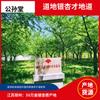 Extrato de Folha de Ginkgo, Flavonoides de Ginkgo 24%, Lactonas de Ginkgo 6%, Cp2010 Fabricante Atacado Vegetal