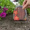 Adornos de Puerta de Elfo de Jardín Transfronterizos, Decoraciones de Jardín, Adornos para Jardín de Casa, Manualidades de Madera, Adornos de Doble Capa