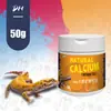 Aminoácido de reptil vitamina sabor a fruta que contiene D3 polvo mineral de calcio para mascotas 10g250g