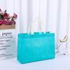 Bolsa de Mão Elegante Não Tecida com Laço Loja de Roupas Atacado de Roupas Sacola de Compras Bonita com Logo