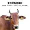 Etiquetas de Oreja para Cerdos, Etiquetas de Oreja para Animales, Etiquetas Electrónicas de Oreja -860-960Khz Etiquetas Electrónicas de Oreja, Etiquetas de Oreja UHF para Cerdos