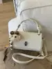 Bolsa Feminina de Luxo para o Dia a Dia, Mini Bolsa Transversal com Corrente, Novo Modelo 2025, Bolsa de Mão Versátil, Bolsa de Ombro Único para Usar sob o Braço, Transfronteiriça