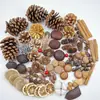 Fruta Fixa Natural Planta Fruta Casca Espécime Material Decoração Flores Secas Fatias Jardim de Infância DIY Pacote de Material de Natal