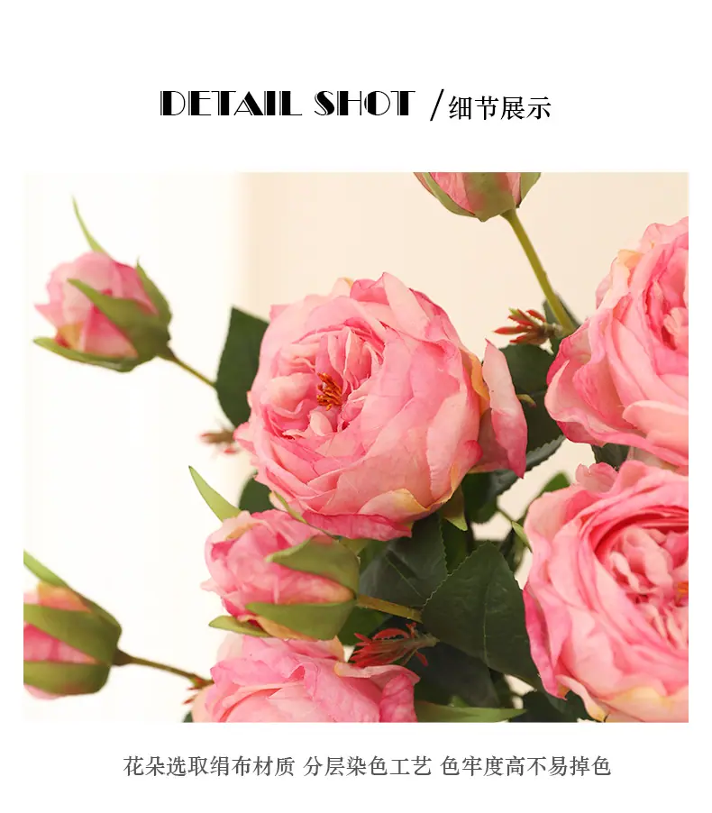 王国德拉秀玫瑰_12.jpg