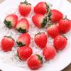 Vermelho 17 * 25mm DIY resina acessórios 3D simulação fruta morango pingente charme jóias acessórios