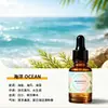 Difusor de Aromaterapia Humidificador Piedra Difusora Perfume para el Hogar Fragancia de Larga Duración Fragancia para Oficina Uso Especial