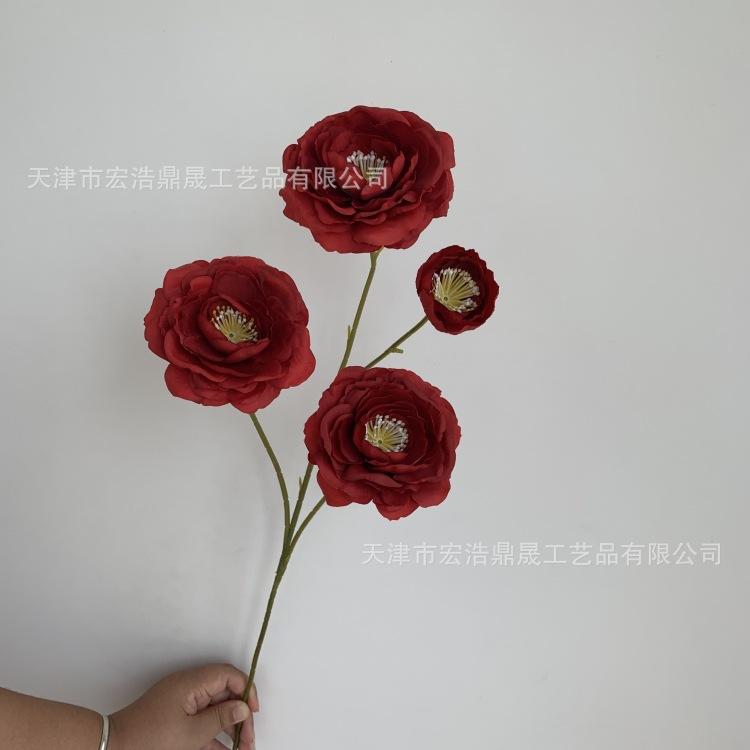 微信图片_20230810101755_副本