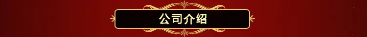 9-公司介绍