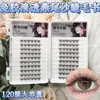 Se Recomiendan Altamente las Pestañas Postizas Transparentes Tipo Cola de Golondrina Sin Pegamento para Maquillaje Ligero. Son Suaves y Reducen la Edad, Haciendo los Ojos Más Grandes y Claros y Naturales al Mismo Tiempo