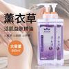 Aceite esencial de masaje corporal lavanda empujar hacia atrás limpiar meridianos abrir espalda salón de belleza masaje raspado fabricantes de aceite esencial corporal