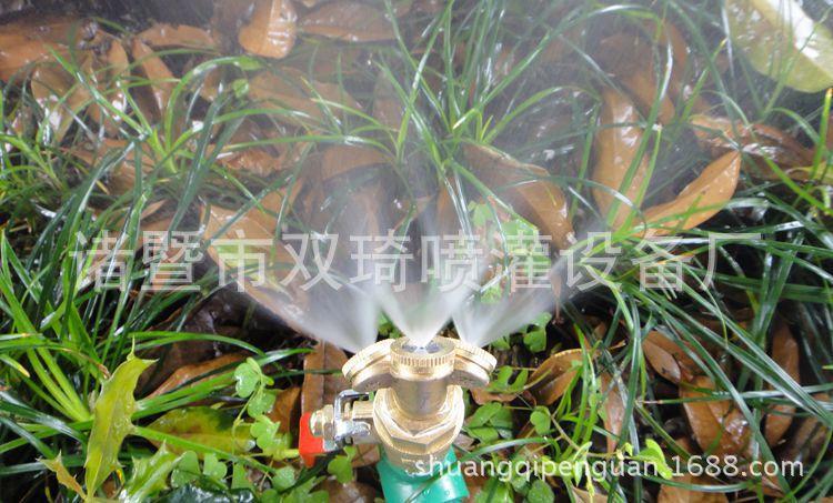 rBEhVlIMfZQIAAAAAAFswUg1QwMAAC