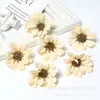 Cabeças de Flores Margaridas Simuladas, Flores Artificiais de Tecido de Seda, Acessórios de Flores Artificiais DIY, Decoração de Cena de Casamento, Arranjo de Flores de Fundo