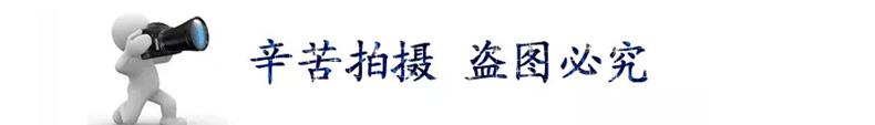 详情页_03.gif