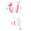 Vibrador de flerte Laile Plugue direto USB Vibração multifrequência Massageador feminino Brinquedos adultos Brinquedos sexuais Atacado
