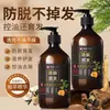 Shampoo anti-queda de cabelo com suco de gengibre e poligonum multiflorum, shampoo herbal de gengibre anti-queda e fortalecedor de cabelo com semente de camélia e folha de arborvitae