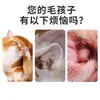 Líquido Limpiador de Oídos para Mascotas, Gotas para Oídos, Aceite para Oídos para Cachorros, Solución para el Picor de Oídos, Venta al por Mayor desde el Fabricante Original
