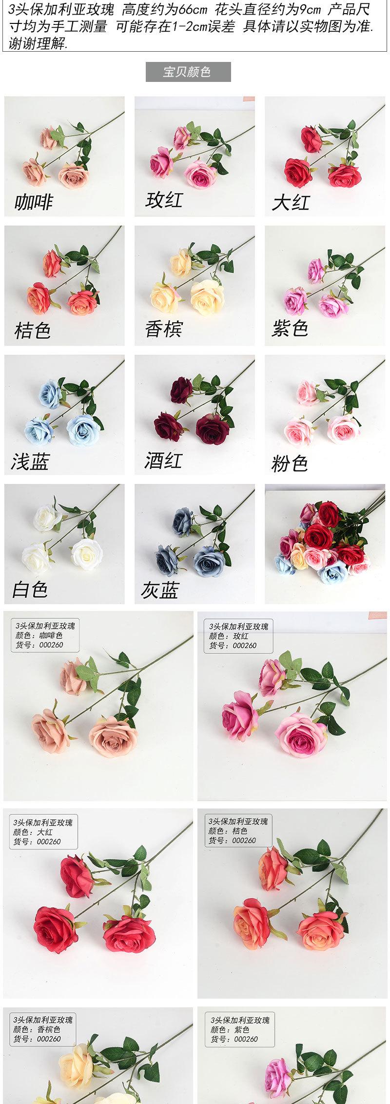 3头保加利亚玫瑰_02.jpg