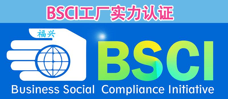 BSCI认证图标