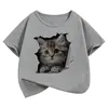 Camiseta de Verão Manga Curta Transfronteiriça com Estampa de Gatinho Fofo Camiseta Infantil Animal de Desenho Animado Roupas para Meninos e Meninas Kawaii