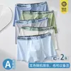 Cuecas Infantis para Adolescentes, Alunos do Ensino Fundamental II e Ensino Médio, Algodão Puro, Antibacteriana, Virilha Massageadora, Boxer para Meninos Grandes