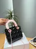 Transfronterizo 2026 Nuevo Bolso Dior Lady Dior con Múltiples Bolsillos y Lazo Bolso de Mano Acolchado de Moda Clásico Versátil Bolso de Hombro Cruzado