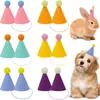 Perro Gato Conejo Bola de Pelo Transfronterizo Arreglo Fotográfico de Cumpleaños Sombrero de Cumpleaños Decoración de Fiesta Macarrón Colorido