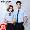 Camisa Bordada Logo Bordado Verão Camisa de Manga Curta Masculina e Feminina Personagem Bordado Roupa Social Masculina Roupa de Trabalho Não Amassa Slim Fit