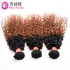 Tiras de Cabelo Humano em Gradiente Bicolor Europeu e Americano Transfronteiriço T1B/30 Cacheado Kinky