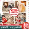 Almohadas con Forma Personalizada con Fotos, Lindas Almohadas de Animales para Gatos y Perros, Almohadas de Dibujos Animados de una o Dos Caras, Personalizadas al por Mayor