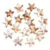 Pingente Concha de Acrílico Estrela do Mar Estilo Oceano Acessórios de Joia DIY Brincos Feitos à Mão Colar Acessórios para Chapéu