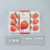 Caja de embalaje para fresas 10/12/15/20 caja transparente desechable para fresas Caja transparente a prueba de golpes exprés para fresas