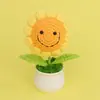 Produto Acabado: Planta de Girassol em Vaso para a Temporada de Formatura, Presente Trançado para Melhor Amigo, Professor, Amigo, Decoração de Interior, Atacado de Presente em Buquê