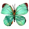 Cabeza de Flor de Mariposa de Goma Suave de Plástico, Decoración del Hogar con Flores Artificiales, Arreglo de Boda, Adornos al por Mayor, Decoración de Mesa para Exteriores