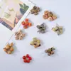 Fruta Fixa Natural Planta Fruta Casca Espécime Material Decoração Flores Secas Fatias Jardim de Infância DIY Pacote de Material de Natal