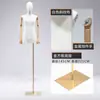 Modelo masculino de estilo coreano ajustado, accesorios de media figura humana, escaparate de ropa, modelo informal de moda, expositor de cuerpo entero
