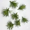 Materiais de modelo caixa de areia plantas verdes plantas em vaso modelos plantas pequenas flores e plantas paisagem fundo de plantas verdes flores e plantas plantas modelos